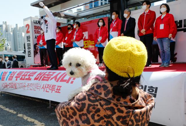 4·7 재보궐 선거를 이틀 앞둔 5일 오후 부산 수영구 수영아파트 앞에서 열린 박형준 국민의힘 부산시장 후보 유세에서 한 애완견이 주인 품에 안겨 있다. 뉴스1