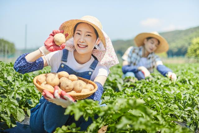 게티이미지뱅크