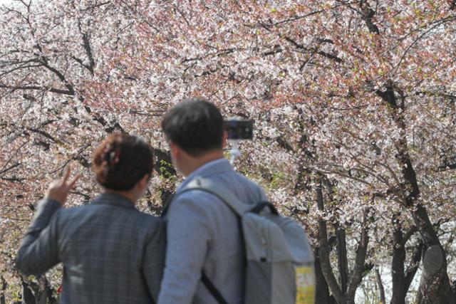 여의도 봄꽃 축제가 시작된 지난 5일 오후 서울 영등포구 윤중로 벚꽃 길에서 시민들이 즐거운 시간을 보내고 있다. 뉴스1