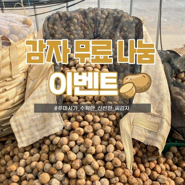 푸마시 인스타그램