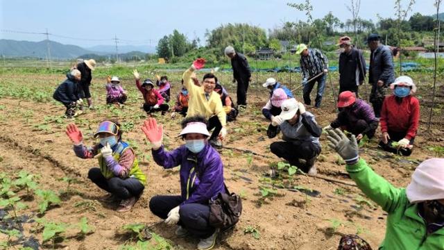 보성군 주민 주도 '보성600사업'