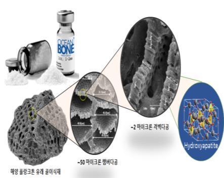 해양수산 창업기업 사업화 자금 지원 사업에 선정된 '셀코'의 해양플랑크톤 골이식재. 해양수산부 제공