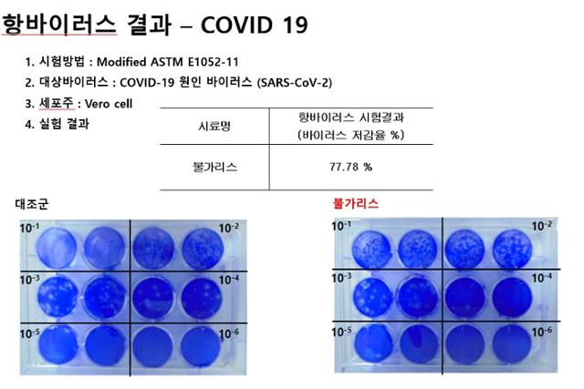 남양유업이 발효유 불가리스가 코로나19를 억제한다며 내놓은 항바이러스 테스트 결과. 77.78% 항바이러스 효과를 보였다는 게 남양유업의 주장이다. 남양유업 제공