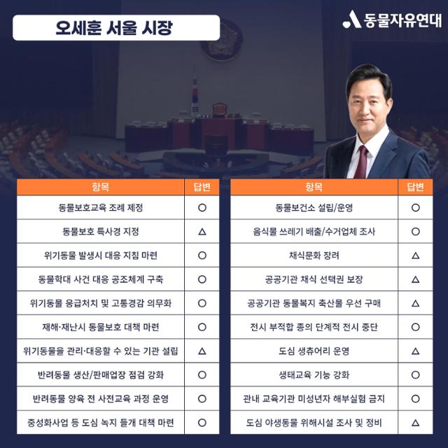 동물자유연대가 보낸 질의에 대한 오세훈 시장 답변. 동물자유연대 제공