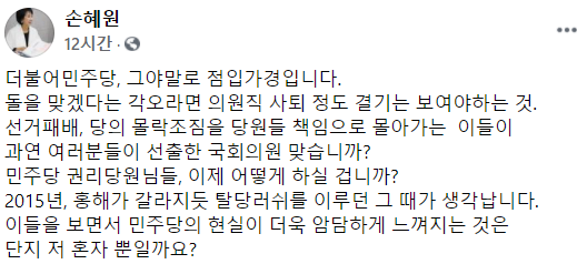 손혜원 전 더불어민주당 의원의 페이스북 게시글 캡쳐.