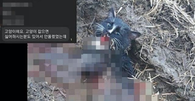 지난 1월 알려진 '동물판 N번방'에서 고양이를 학대하던 모습의 일부. 독자 제공