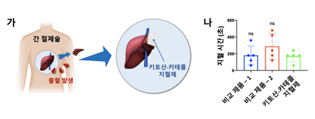 간 절제 환자 대상 임상시험에서 키토산-카테콜의 지혈 효과. 카이스트 제공