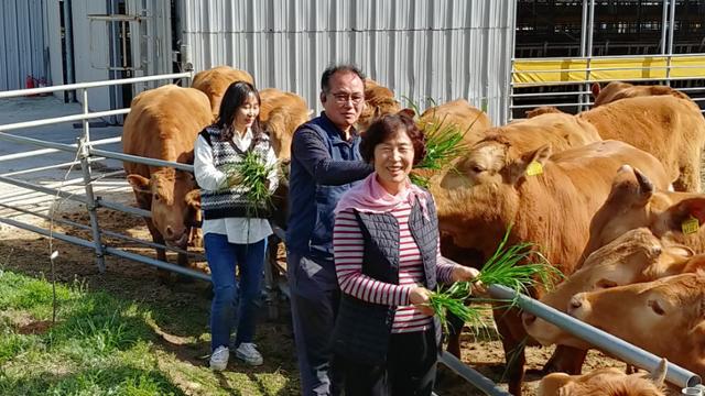 동물복지축산 한우농장 1호로 인증 받은 전남 해남 만희농장 양만숙 대표와 남편 김성희, 딸 소영(오른쪽부터)씨가 환하게 웃고 있다. 전남도 제공