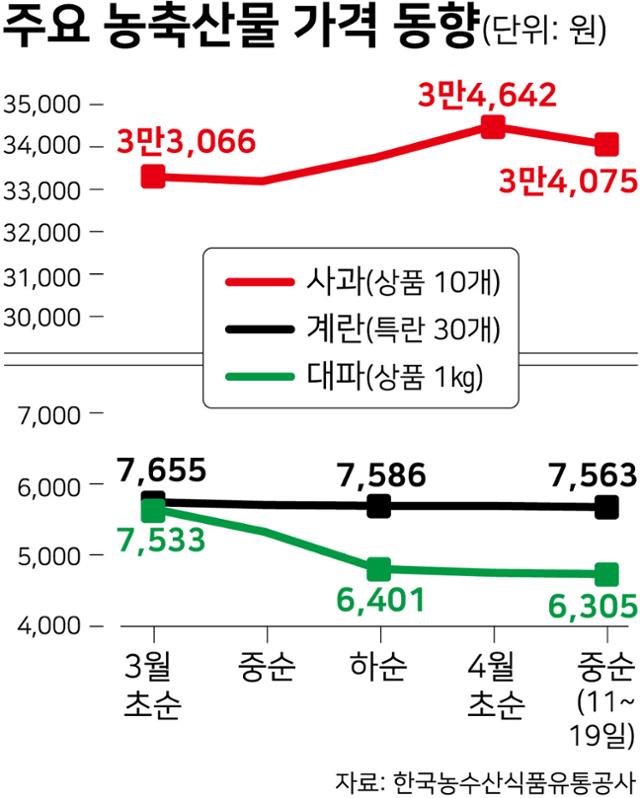 시각물_주요 농축산물 가격 동향