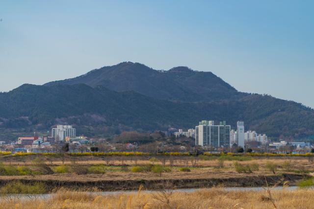 나주 금성산 전경