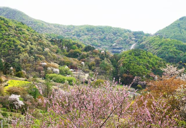 산안리 자진뱅이 마을 뒤편에서 본 보곡산골 풍경. 보통 맞은편 산 능선의 '보이네요' 정자에서 임도를 따라 마을을 크게 한 바퀴 돌아온다.