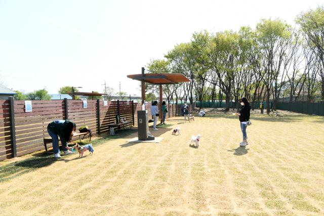 경기 구리시가 교문동 장자호수생태공원 내에 조성한 ‘반려동물 놀이터’. 구리시 제공