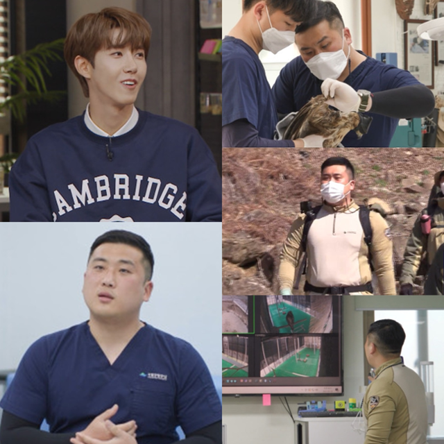 '아무튼 출근!' 야생동물 수의사 하루가 공개된다. MBC 제공