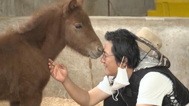 배우 곽도원이 '나 혼자 산다'에서 승마에 도전한다. MBC 제공