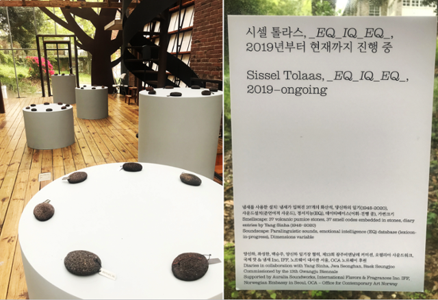 광주비엔날레 주제관 호랑가시나무 아트폴리곤에서 전시 중인 시셀 톨라스 작품 '_EQ_IQ_EQ_, 2019년부터 현재까지 진행 중'. 양신하의 기록을 특정 냄새로 구현해 화산석에 새긴 작품이다. ⓒ서유경