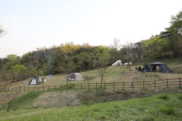 전남 담양 금성산성 오토캠핑장