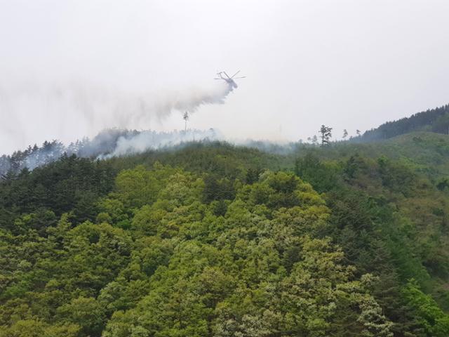 7일 오전 강원 삼척시 도계읍 황조리에서 산불이 나 연기가 피어오르고 있다. 불은 산림 0.15㏊(1,500㎡)를 태우고 1시간 30분 만에 꺼졌다. 삼척시 제공