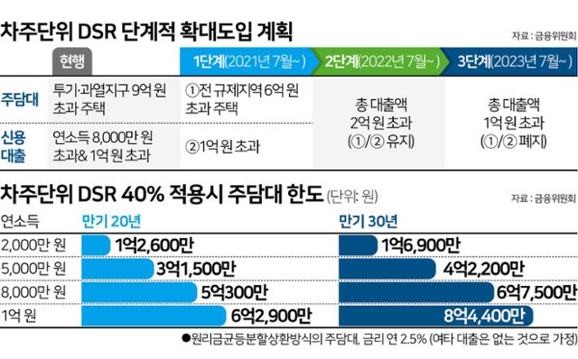 차주단위 DSR 단계적 확대도입 계획