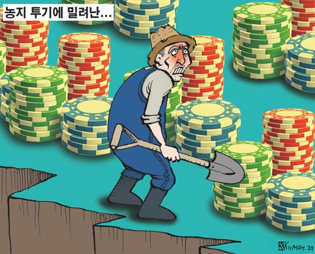 5월11일자 만평