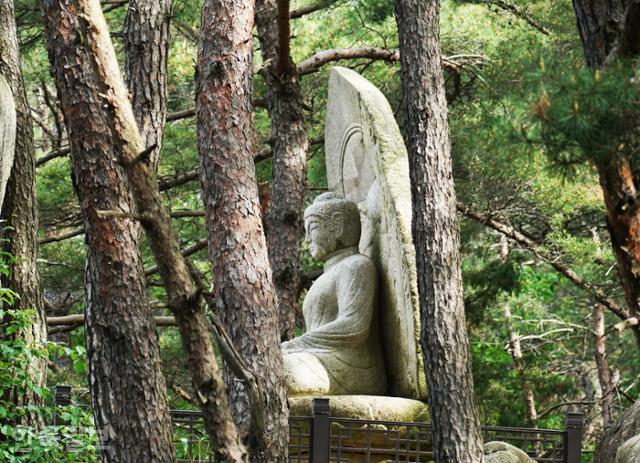 솔가지 사이로 삼릉계곡의 석조여래좌상이 보인다. 안내판이 잘 세워져 있어 등산로에서 조금 벗어나 있는 유적도 찾기가 어렵지 않다.