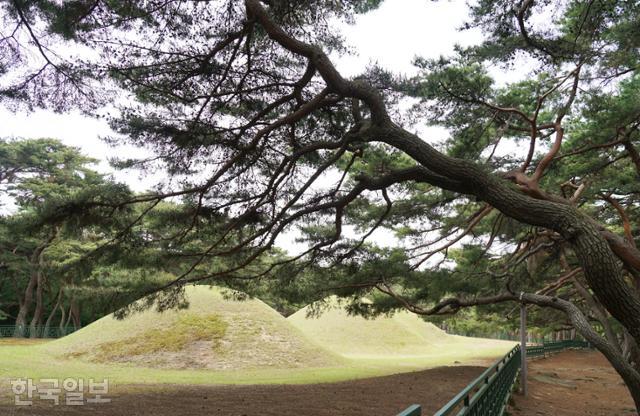 서남산 코스의 출발점인 삼릉. 신라 왕릉 3기가 울창한 솔숲 안에 자리 잡았다.