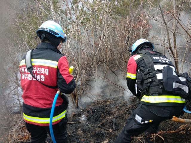 11일 오후 5시 22분쯤 강원 춘천시 북산면 청평리에서 산불이 나 산림당국이 진화하고 있다. 산림청 제공