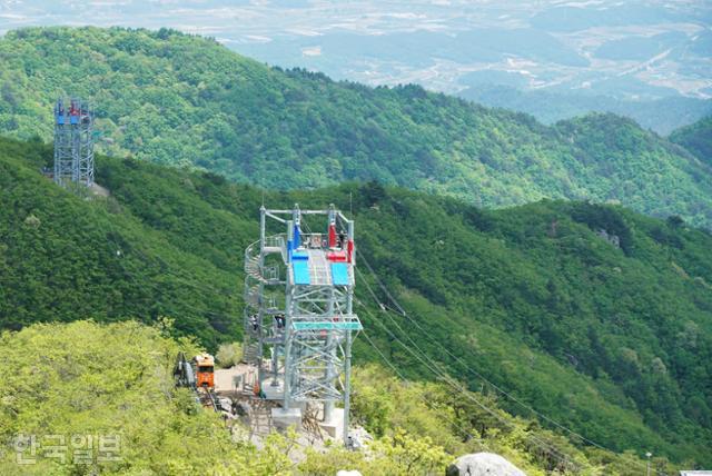 대봉산휴양밸리의 집라인도 국내 최장 코스다. 계곡을 사이에 두고 지그재그로 5개 코스가 연결돼 있다.