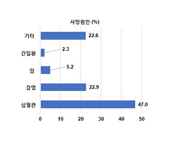 투석 환자의 사망 원인(2019년 기준)