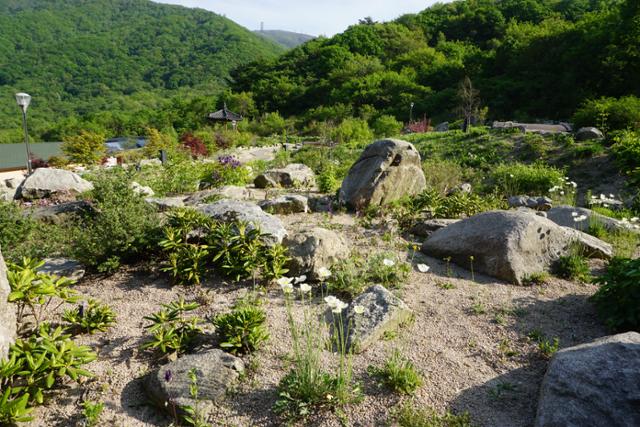 강원 양구군에 있는 북방계식물전시원. 국립수목원 제공