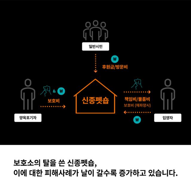 신종 펫숍 사업 흐름도. 동물자유연대 제공