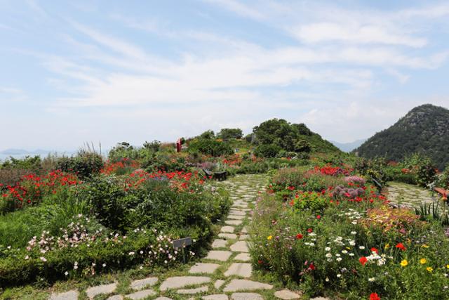 쑥섬의 비밀 꽃정원인 별정원. ⓒ박준규