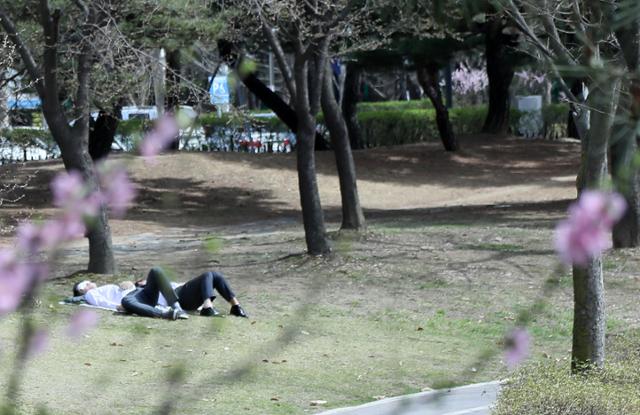 1일 경기 고양 일산호수공원에서 점심을 마친 직장인들이 나무 아래서 휴식을 취하고 있다. 연합뉴스