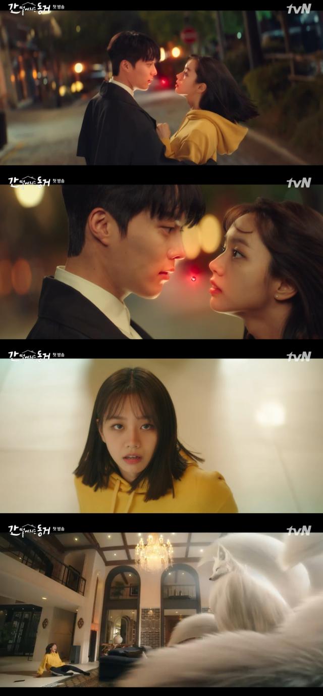 tvN 새 수목드라마 '간 떨어지는 동거'가 로맨스 장르의 부흥을 일으킬까. tvN '간 떨어지는 동거'