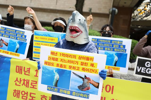 한국동물보호연합, 동물의 목소리 구성원들이 2일 오후 서울 중구 롯데호텔 앞에서 샥스핀 요리 판매 중단을 촉구하고 있다. 한국동물보호연합 등 동물보호단체는 이날 기자회견을 통해 "샥스핀 요리는 잔인한 어획 방식으로 국제사회에서 금기시되고 있다"고 밝히고, 국내 호텔에서 샥스핀 요리 퇴출을 촉구했다. 뉴스1