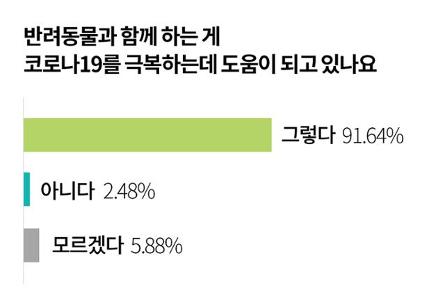 한국일보 설문 조사 결과 응답자 가운데 91%가 “반려동물과 함께하는 게 코로나19 극복에 도움이 된다”고 답했다. 그래픽=백종호 디자이너