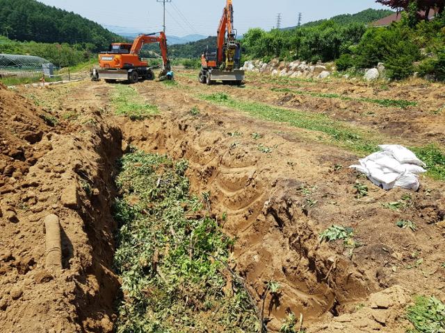 충북지역 한 과수화상병 피해농장에서 방역당국 직원들이 중장비를 이용해 사과나무를 다 뽑아 땅에 묻고 있다.