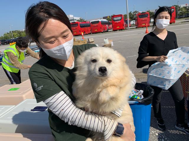 김나라 HSI 매니저가 '두부'를 안아보고 있다. 두부는 잘 키워달라는 메모와 함께 버려졌다 구조됐지만 또 다시 신종 펫숍에 버려졌고 결국 개농장에서 발견됐다. 고은경 기자