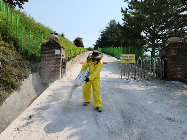 영주시 관계자가 8일 안정면 영주시농업기술센터 과수시험장 앞에서 과수화상병 확산을 막기 위한 소독제로 생석회를 뿌리고 있다. 영주시 제공