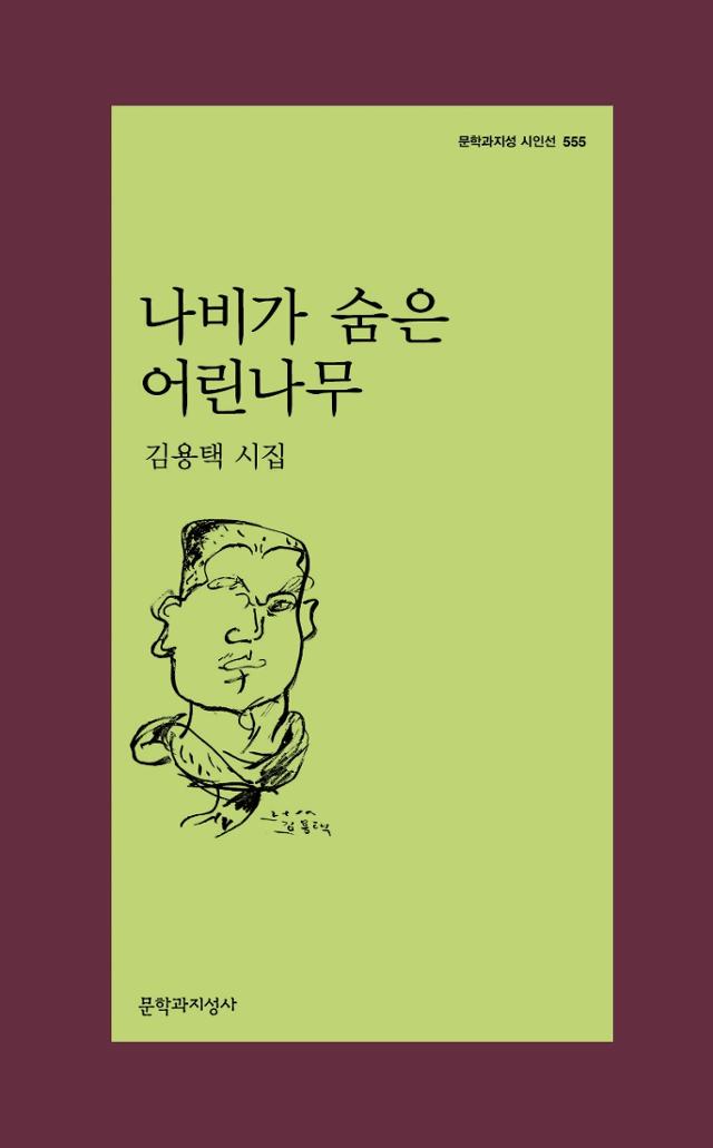 김용택 지음. '나비가 숨은 어린나무'