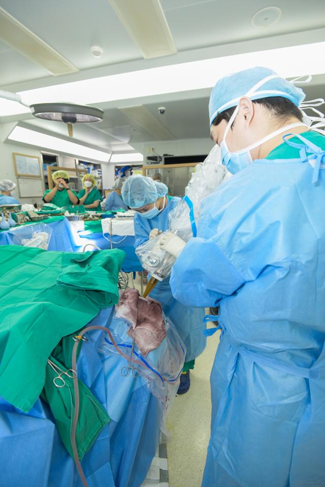 5년 생존율 7% '최악의 뇌암' 교모세포종, 수술ㆍ방사선으로 동시 치료한다 - Vimarsana News