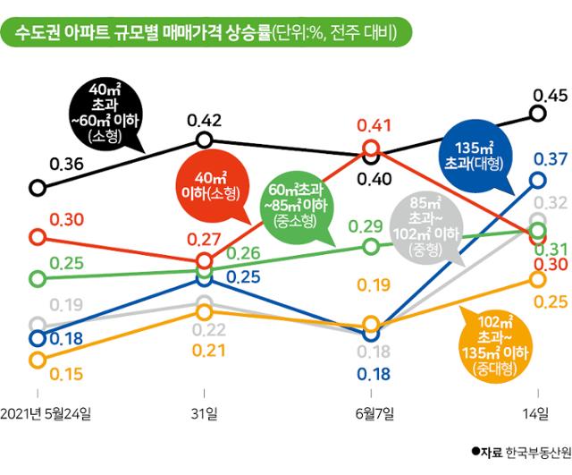 시각물_수도권 아파트 규모별 매매가격 상승률