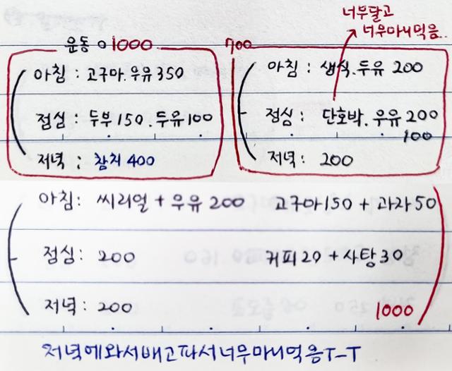 김윤아(30)씨가 한창 극심한 섭식장애를 겪고 있던 스무 살 무렵 자신의 일기장에 적은 식단과 칼로리 계산표. 김씨는 매일 자신이 먹은 음식의 양과 칼로리를 계산해 기록하고, 몸무게를 소수점 단위로 측정해 적었다.