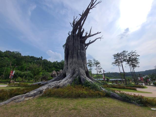 태백산 신단수를 바탕으로 만든 신화목. 신화목 내부에는 삼국유사의 여러 설화의 이야기를 확인할 수 있다. 김민규 기자 whitekmg@hankookilbo.com