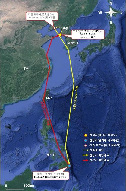 노랑부리백로(K018)가 2019년 7월부터 지난달까지 이동한 경로. 환경부 제공