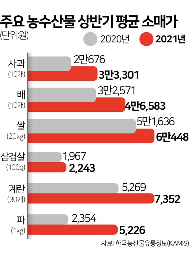 주요 농수산물 상반기 평균 소매가. 그래픽=김문중 기자