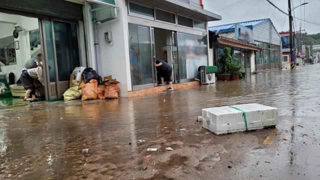 6일 오전 전남 진도군 진도읍 고작마을 일대가 불어난 물에 잠겨 있는 모습.뉴스1