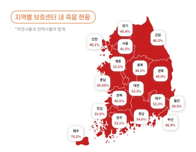 전국 시도 가운데 자연사와 안락사 비율이 가장 높은 곳은 제주였다. 동물자유연대 제공