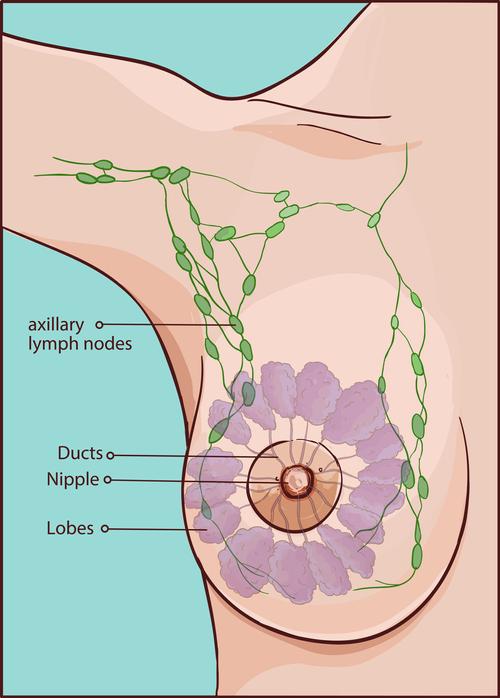 어머니가 유방암 환자라면 딸도 이 암에 노출될 위험이 2배 정도 높다. 게티이미지뱅크