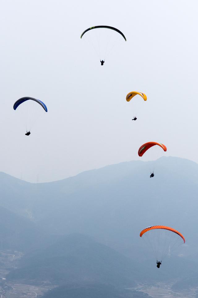 2019년 가을 대구 달성군 구지 대니산에서 열린 대구패러글라이딩협회장배 대회에서 선수들이 고도를 확보하고 있다. 대구시패러글라이딩협회제공