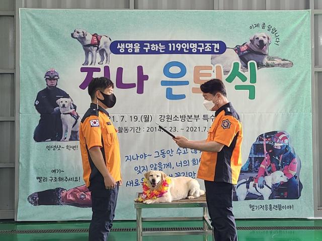 17일 강원 양양군 119항공대에서 7년간 재난현장에서 활약했던 구조견 '지나'의 은퇴식이 열렸다. 강원소방본부 제공